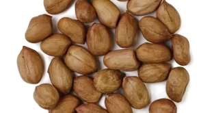 Ядра арахиса из Аргентины купить