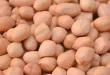 Прайс-лист-на-арахис-индийского-производства-от-8-ноября-2024